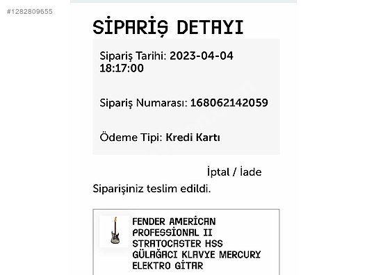 Fender Elektro Gitar