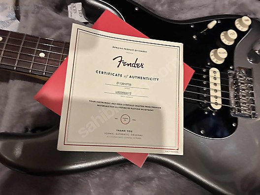 Fender Elektro Gitar