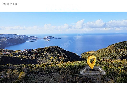 YAZICIOĞLU GAYRİMENKULDEN SATILIK EŞSİZ MANZARALI TARLA #1215810035