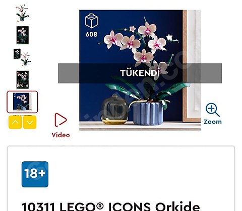 Lego 10311_608 pcs _ Orchid