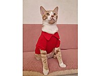 MADDE KULLANAN SAHİBİ TARAFINDAN DEFALARCA DÖVÜLEN MAZLUM #1282811217