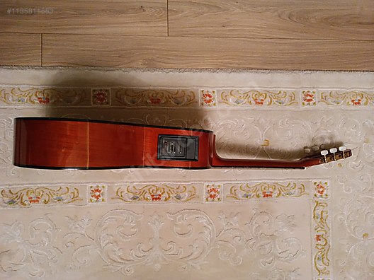 İkinci El Wolf Akustik Gitar