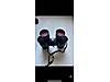 Used & Brand New Items / Cameras & Photographic Equipment / Binoculars