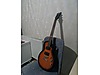 ESP Elektro Gitar