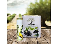 Dunyanin En Kaliteli Zeytini Gemlik Zeytini Gemlik Zeytin Ve Zeytinyagi Gemlikzeytini Gen Tr