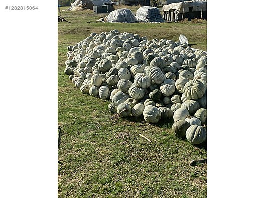 Used & Brand New Items / Garden & Home Improvement / Wholesale Lots