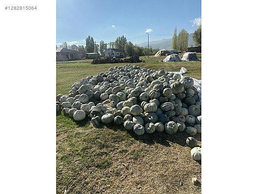 Used & Brand New Items / Garden & Home Improvement / Wholesale Lots