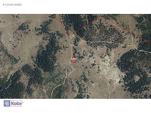Yatırım Fırsatı! Balıkesir Sındırgı'da Satılık 1785m2 Arsa