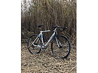 carraro cyclocross