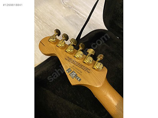 Used & Brand New Items / Music / Musical Instruments / Stringed Instruments / Guitar / Electric