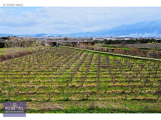 İsmetiye'de Gelişim Bölgesinde Çevreyoluna Komşu Satılık Tarla