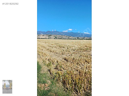 ULUTAŞ EMLAK TAN 52700 m2 IRMAK KENARI TARLA #1201820292