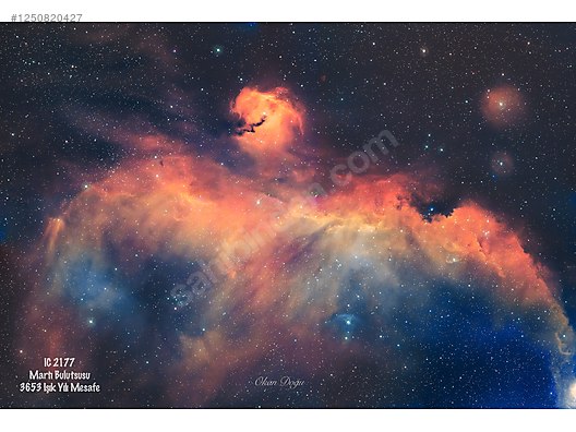 Used & Brand New Items / Cameras & Photographic Equipment / Telescopes / Astrograph Camera