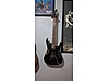 ESP Elektro Gitar