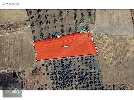 KANDIRA MÜLKŞEHSUVAR KÖYÜNDE SATILIK TARLA #1252820669