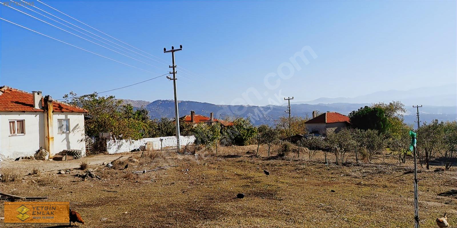 250m2 Ev Yapımına Uygun İçinde Zeytin Ağacı Bulunan Satılık Arsa