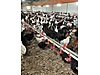 Pets & Livestock / Poultry & Fowl / Chickens