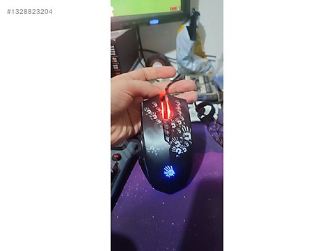 1328823204ral.jpg
