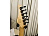 Schecter Elektro Gitar