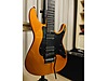 Schecter Elektro Gitar