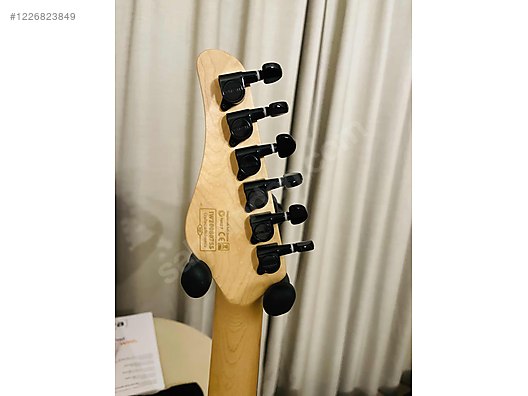 Schecter Elektro Gitar