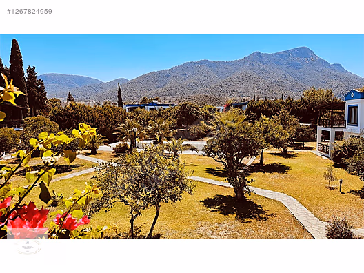 GÖLKÖY SAKLI BAHÇE EVLERİN'DE 2+1 DAİRE #1267824959