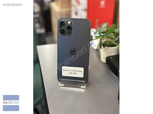 Apple / iPhone 12 Pro Max / iPhone 12 Pro Max 256GB Grafit