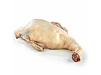 temizlenmiş ördek eti