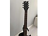 LTD Elektro Gitar