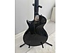 LTD Elektro Gitar