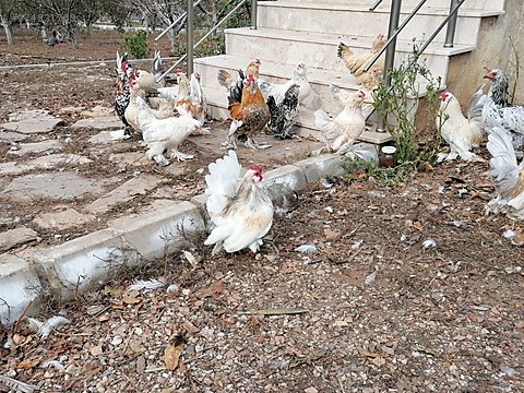 Vqpd3epgza5zmm Vqpd3epgza5zmm