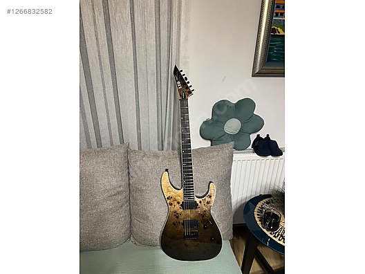 LTD Elektro Gitar