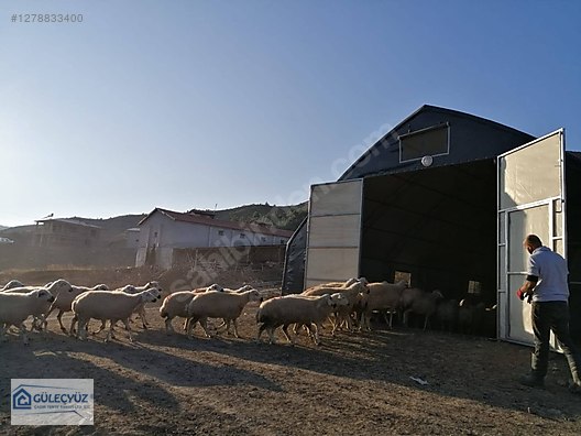 İş Makineleri & Sanayi / Sanayi / Çadır, Tente & Kepenk / Endüstriyel Çadırlar