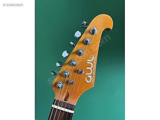 Washburn Elektro Gitar