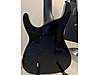ESP Elektro Gitar