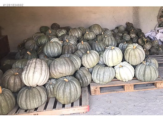 Used & Brand New Items / Garden & Home Improvement / Wholesale Lots