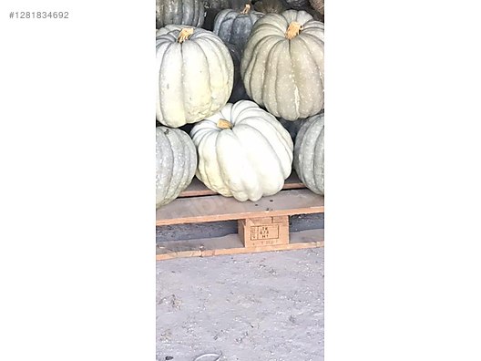 Used & Brand New Items / Garden & Home Improvement / Wholesale Lots