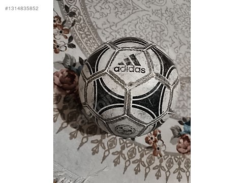 1314835852htk.jpg
