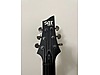 Schecter Elektro Gitar