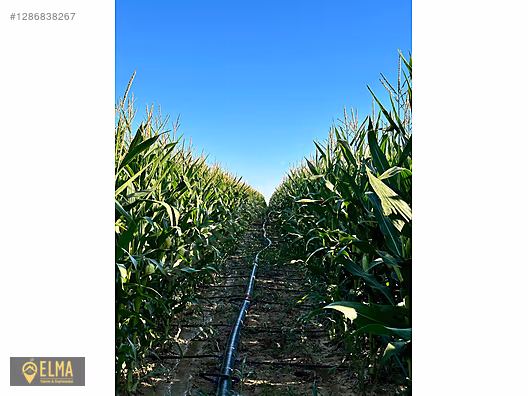 SURUÇ KÖYÜ SATILIK TARIM ARAZİSİ KUYU VAR ELEKTRİK MÜSTAKİL #1286838267