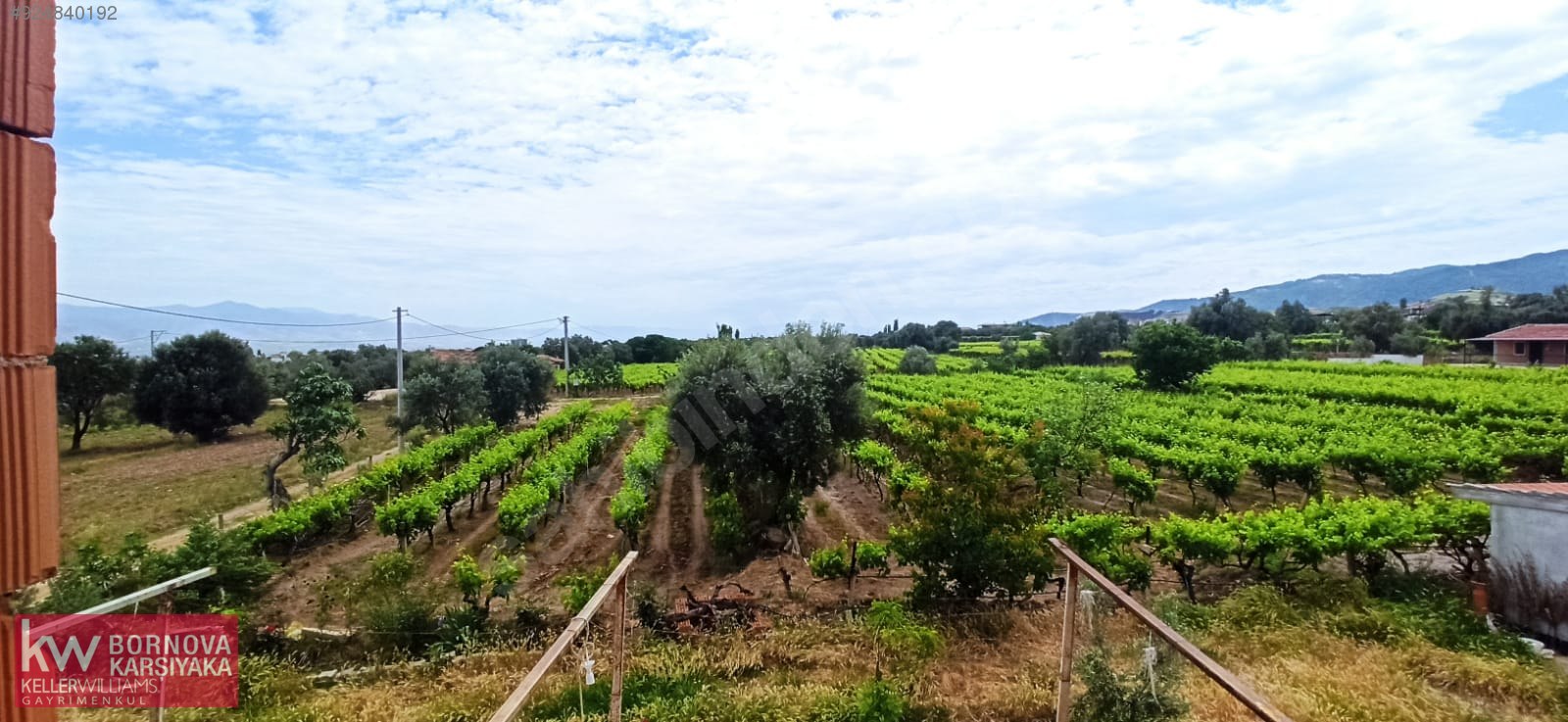 Alaşehir Hacıbey Mahallesinde Merkeze çok yakın Ev ve Zeytinlik