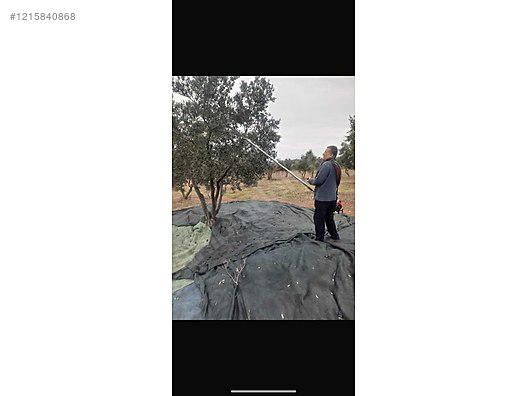 İkinci El ve Sıfır Alışveriş / Yiyecek & İçecek / Şarküteri / Zeytinyağı