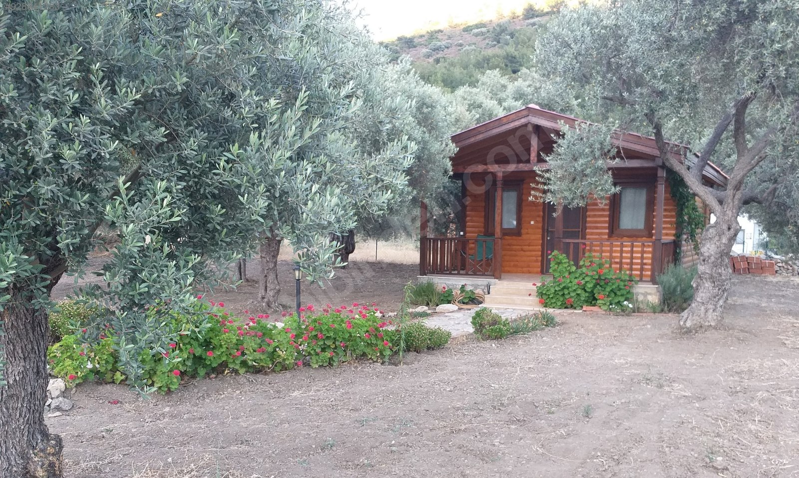 Datça Mesudiye�de Zeytinlik İçinde Müstakil Bungalov Günlük Kiralık