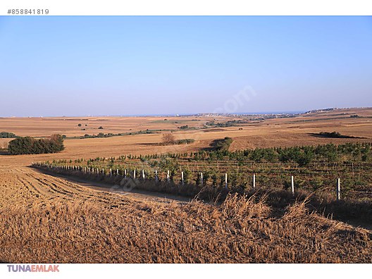 marmara ereglisi yeniciftlik te satilik 20 donum arazi satilik arsa ilanlari sahibinden com da 858841819 marmara ereglisi yeniciftlik te satilik 20 donum arazi satilik arsa ilanlari sahibinden com da 858841819