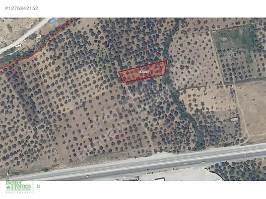 BHGRE İZ GAYRİMENKUL'DEN HAVRAN MESCİT MH. SATILIK ZEYTİNLİK #1276842152