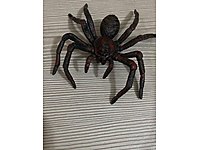 Gerçekçi plastik örümcek maketi