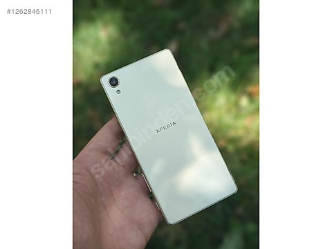 1262846111vsr.jpg