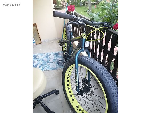 carraro buffalo fat bike