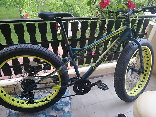 carraro fat bike