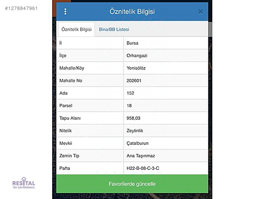 BURSA ORHANGAZİ YENİSÖLÖZDE SATILIK 958 M2 ZEYTİNLİK
